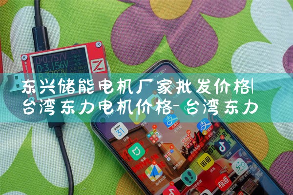 东兴储能电机厂家批发价格