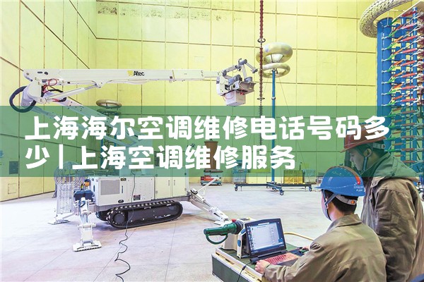 Ϻյά޵绰