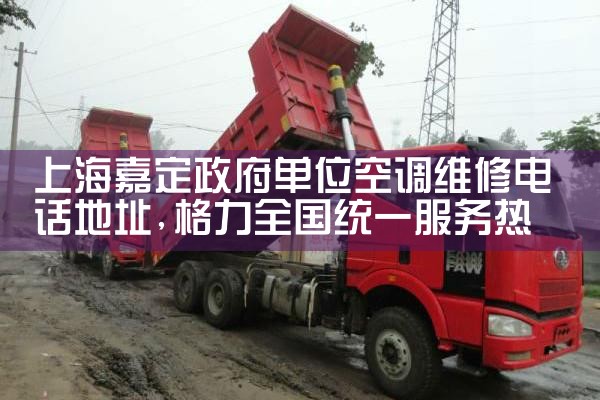 上海嘉定政府单位空调维修电话地址|维修客服电话