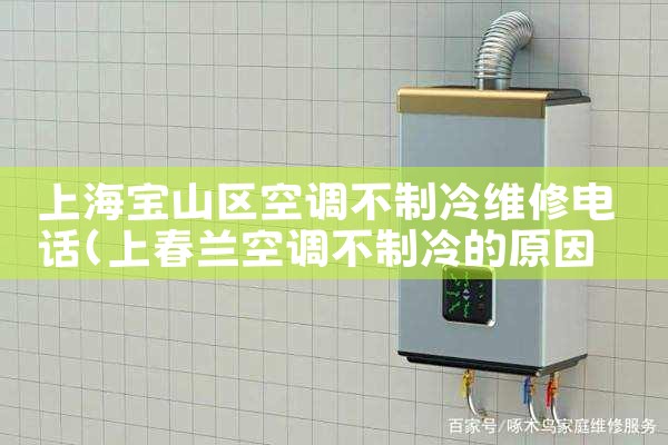 上海宝山区空调不制冷维修电话|同城维修客服中心
